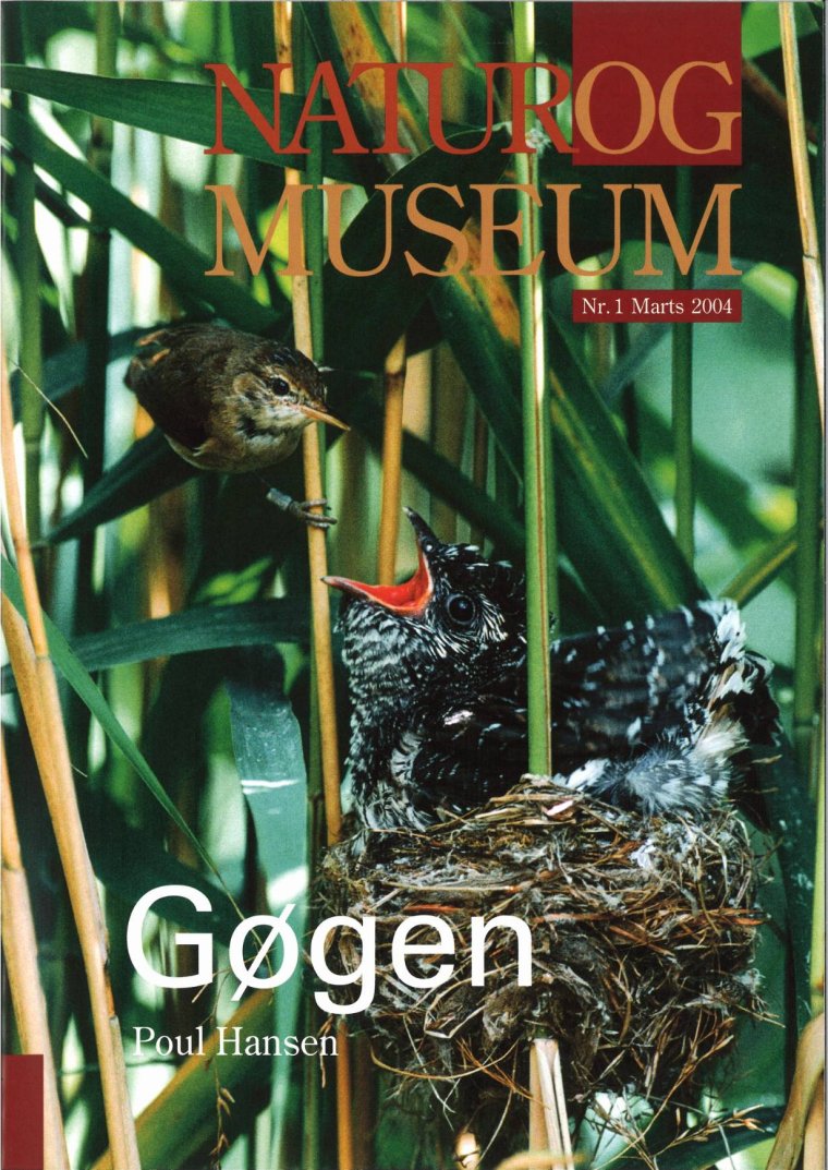Gøgen